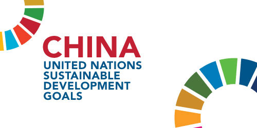 China and the UN Sustainable Development Goals: Policy Priorities and Business Strategies