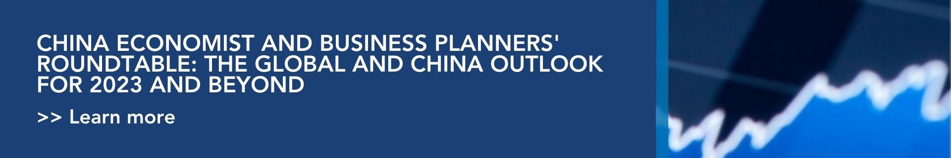 China-Economist-and-Business-Planners-Roundtable